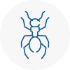 Ant Removals In Earls Court