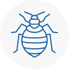 Bed Bug Extermination In Earls Court