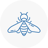 Bee Nest Removal Earls Court
