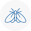 Moth Control Specialists In Earls Court
