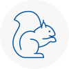 Earls Court Rodent Removals